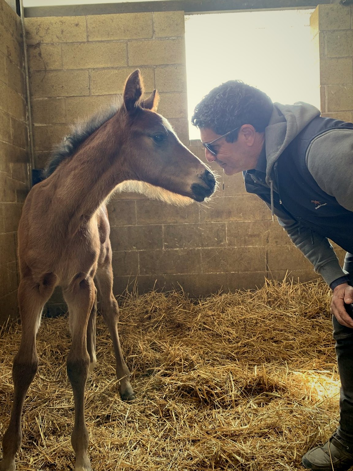 Massimiliano con un puledro appena nato a Scuderia Clodia