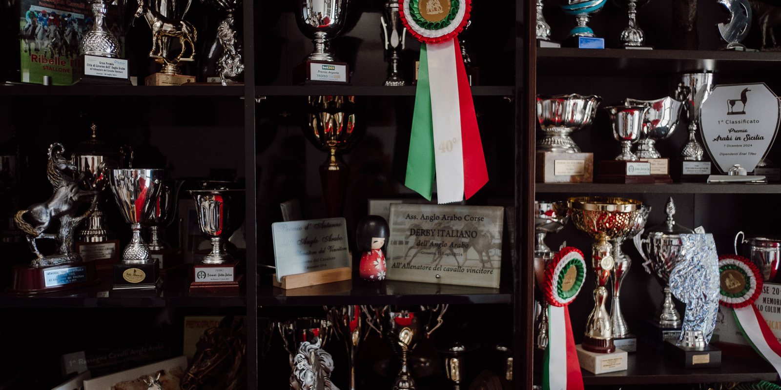 Coppe e coccarde tricolori vinte dai cavalli di Scuderia Clodia