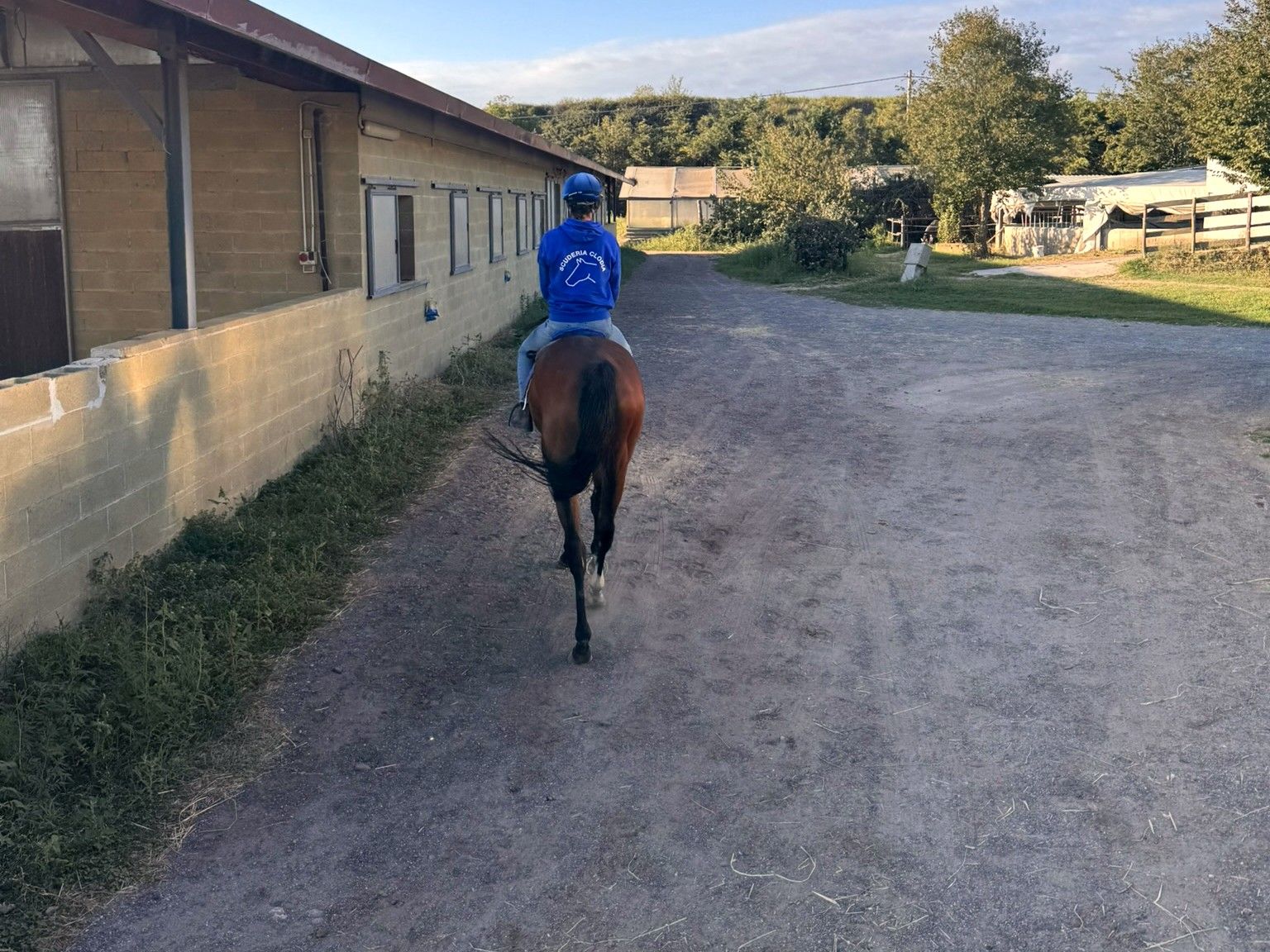 Cavaliere e cavallo di ritorno verso la scuderia dopo il lavoro