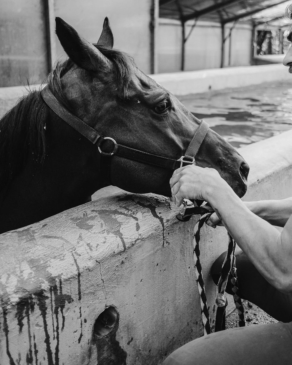 Un membro dello staff con un cavallo nell'area di lavaggio